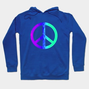 Psychedelic Retro Peace Sign Hoodie